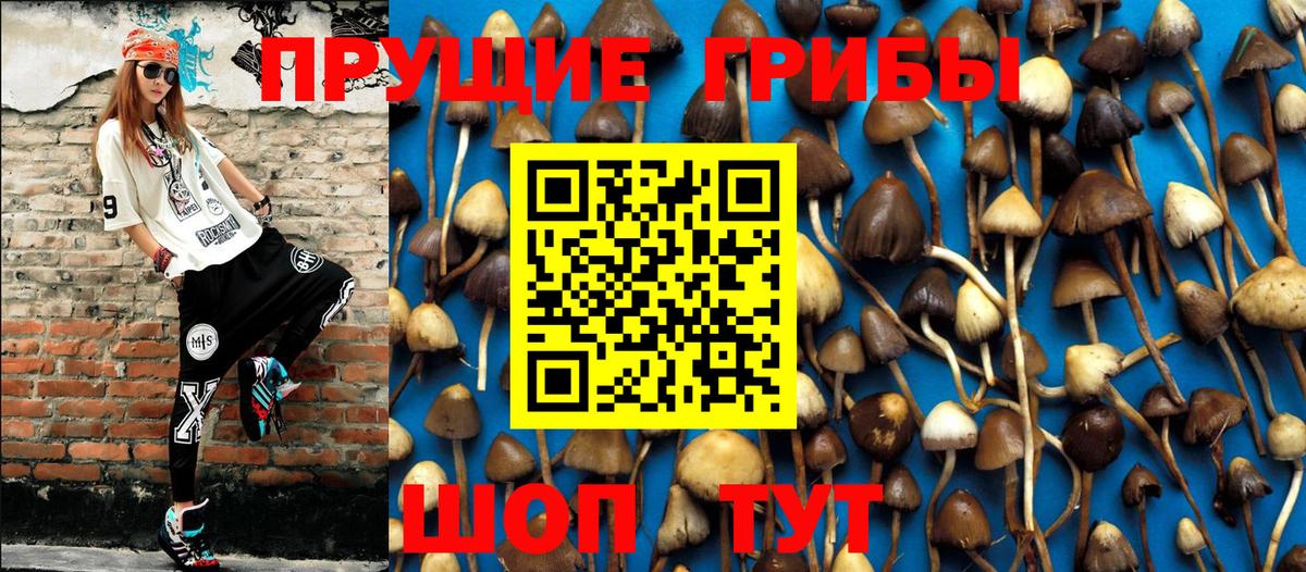 Псилоцибиновые грибы Cubensis  Галлюциногенные грибы Psilocybine cubensis  Вход с VPN  Феодосия 